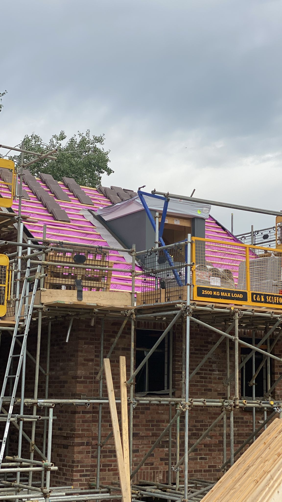 Ashfield, Romsey – Progress